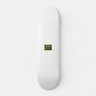 kinafex home page zazzle.com and market place skateboard bräda 20,5 cm