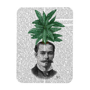 Kinas Evergreen Head Magnet