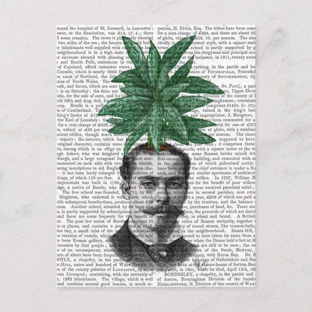 Kinas Evergreen Head Vykort (Framsida)