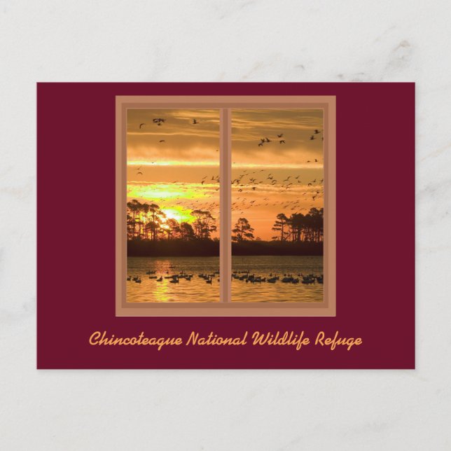 Kincoteague Island Sunset-kort Vykort (Framsida)