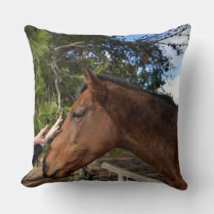 "Kind Touch: Bonding with a Gentle Brown Horse" Kudde