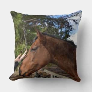 "Kind Touch: Bonding with a Gentle Brown Horse" Kudde
