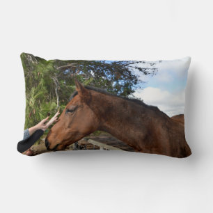 "Kind Touch: Bonding with a Gentle Brown Horse" Lumbarkudde