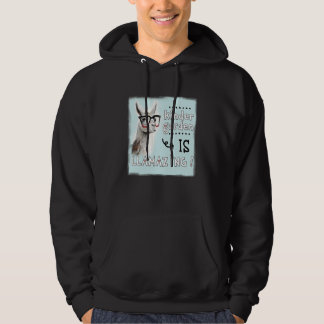 Kindergarten är Llamazing Llama Back to school Te Hoodie