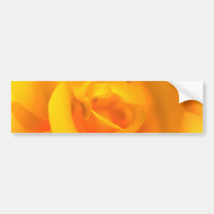 Kindled Ro Bumper Sticker Bildekal