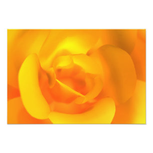 Kindled Ro Photo Print Fototryck