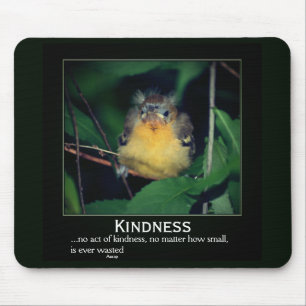 Kindness Baby Oriole Inspirational Musmatta
