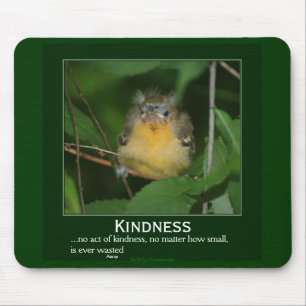 Kindness Baby Oriole Motivational Mousepad Musmatta