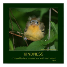 Kindness Inspirational Citational Baby Oriole