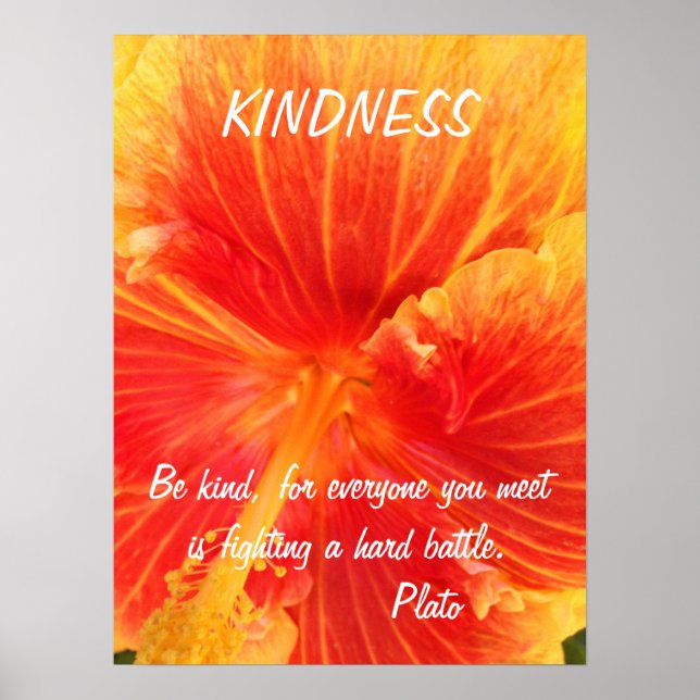 Kindness inspirational Poster Quote Plato Hibiscus (Framsidan)