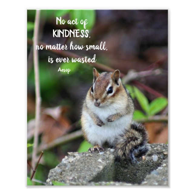 Kindness inspirationcitationskvot Chipmunk Fototryck (Framsidan)