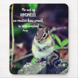 Kindness inspirationcitationskvot Chipmunk Musmatta