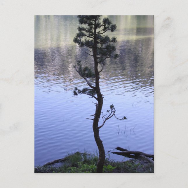 Kindness Matters Vykort (Framsida)