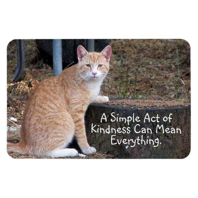 Kindness Orange Tabby katt Magnet (Horisontell)