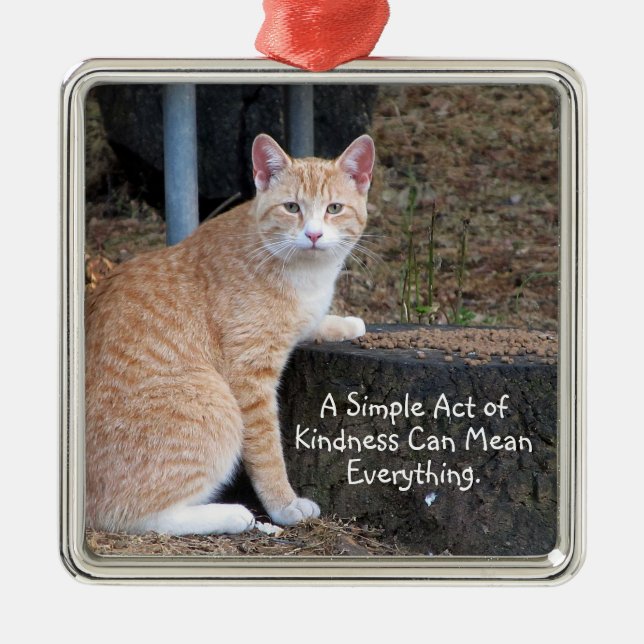 Kindness Orange Tabby katt Ornament (Framsidan)
