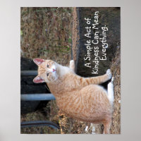 Kindness Orange Tabby katt Poster
