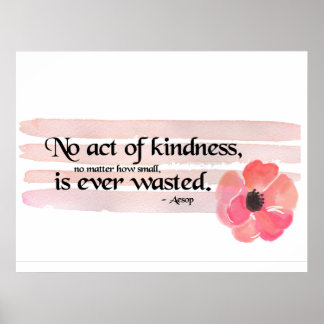 Kindness Quote Poster