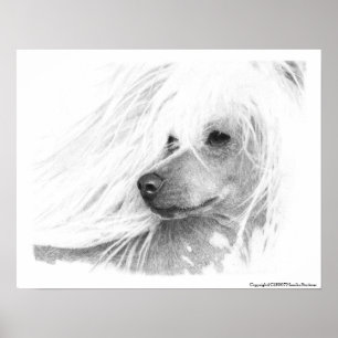 Kines krönad hund poster