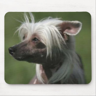 Kines krönade Mousepad Musmatta