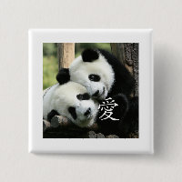 Kines som älskar lite jätte- Pandas