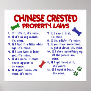 KINESCRESTED PL2 POSTER