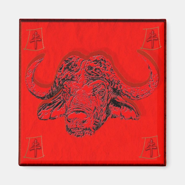 Kinesisk astrologi magnet (Framsidan)