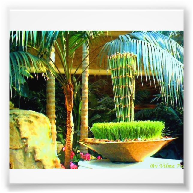 Kinesisk bambu fototryck (Framsidan)