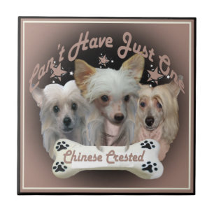 Kinesisk beklädnad kan inte ha en enda bricka kakelplatta