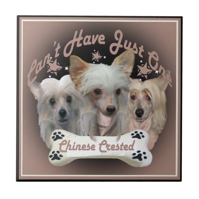 Kinesisk beklädnad kan inte ha en enda bricka kakelplatta (Framsidan)