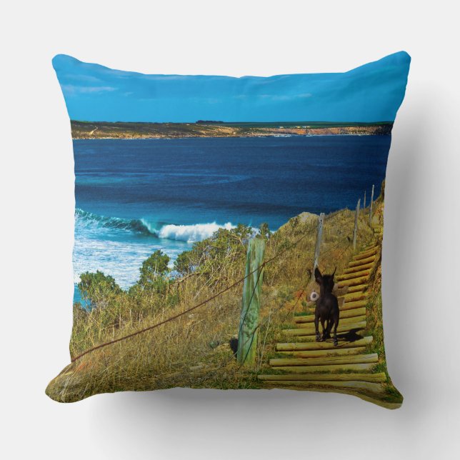 Kinesisk bestred hundstel Teddy Large Cushion. Kudde (Framsida)