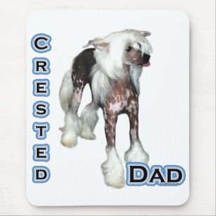 Kinesisk bestred Pappa 4 Musmatta