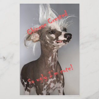 Kinesisk bestred så fuktig att jag är Cute