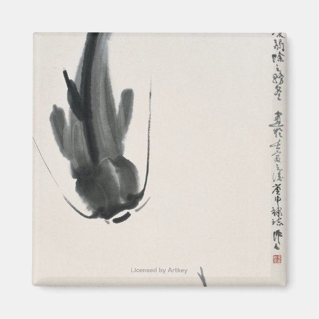 Kinesisk catfisk magnet (Framsidan)