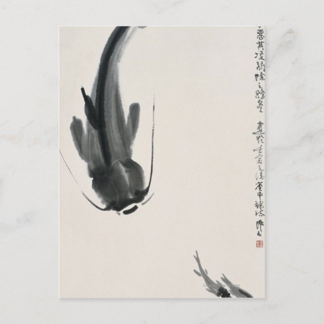 Kinesisk catfisk vykort (Framsida)