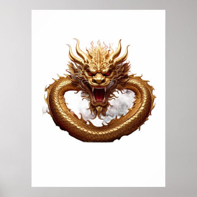 Kinesisk Drakkraft Poster (Framsidan)