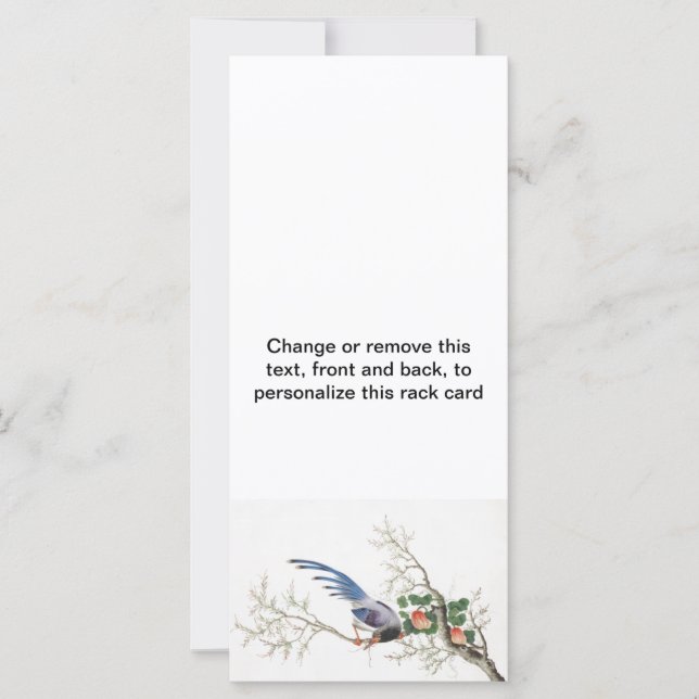 Kinesisk fågelmålning (Framsida)