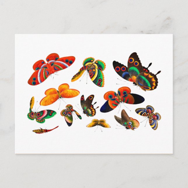 Kinesisk fjäril och Insekt-målarfärg-Qing-dynasty Vykort (Framsida)