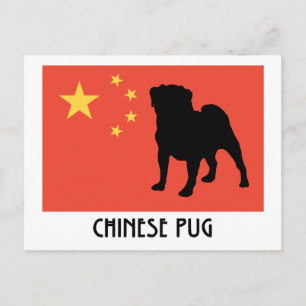 Kinesisk Flagga med Pug Vykort