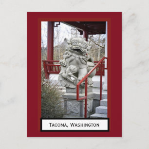 Kinesisk Fu Hund Tacoma, Washington Postcard Vykort