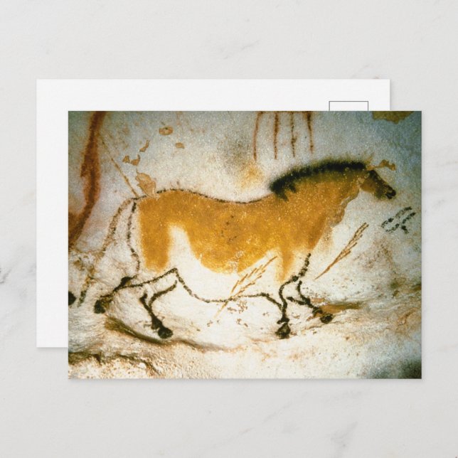 Kinesisk häst,Lascaux PreHistorik Cave Paintings Vykort (Fram/baksida)