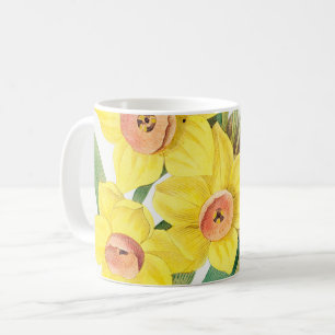 Kinesisk helig lilja, Pierre-Joseph Redouté, Kaffemugg