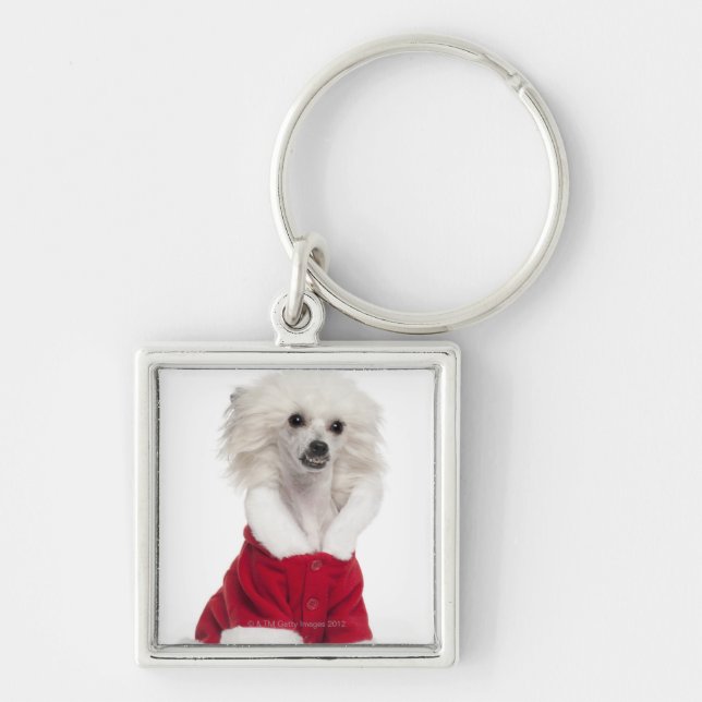 Kinesisk Hund (1 år gammal) med en Fyrkantig Silverfärgad Nyckelring (Framsidan)