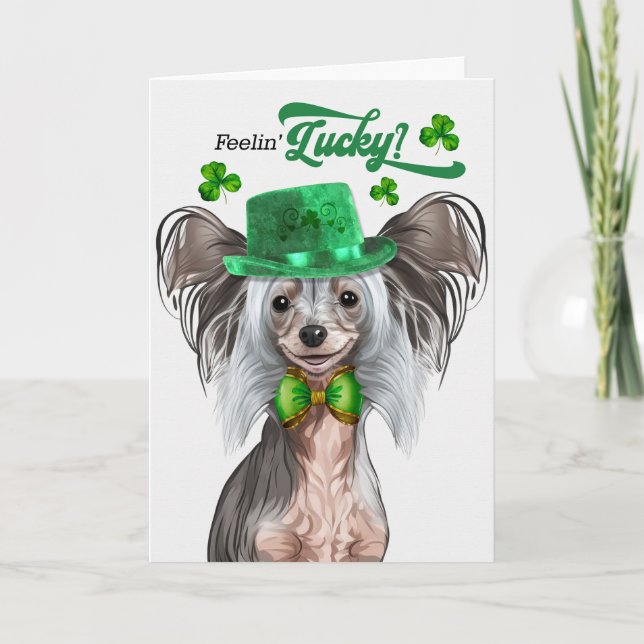 Kinesisk Hund Feelin'Lucky St patrick's day Helgkort (Framsida)