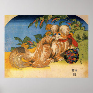 Kinesisk hund för hårigvintage poster