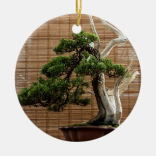 Kinesisk Juniper Bonsai Träd Photo Julgransprydnad Keramik