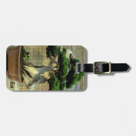 Kinesisk Juniper Bonsai Träd Photo Namn Bagagebricka