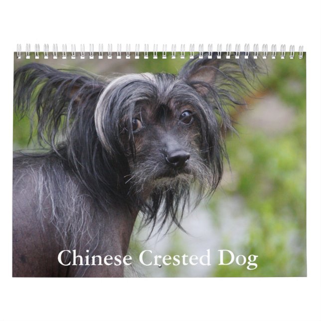 Kinesisk kalender för bestnad Hund (Omslag)