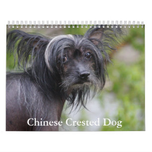 Kinesisk kalender för bestnad Hund
