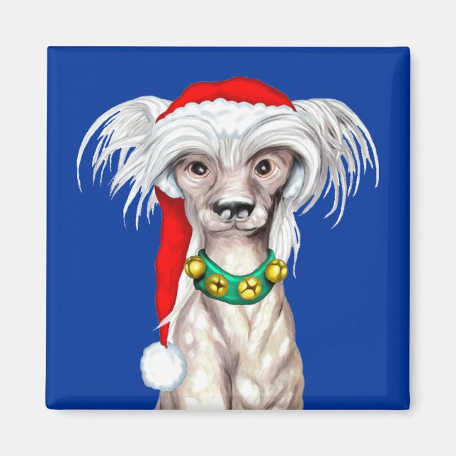 Kinesisk kastad tomt magnet (Framsidan)