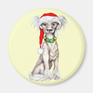 Kinesisk kastad tomt magnet